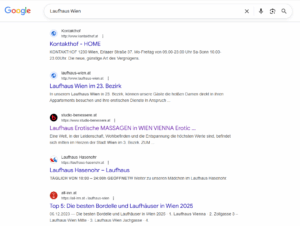 Ero SEO: google search 300x226
